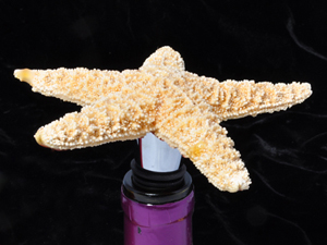 Starfish bottle stopper, mhstudios